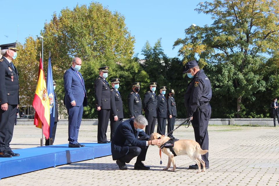 El ministro del Interior preside el acto de condecoración a seis canes de la Unidad de Guías Caninos de la Policía Nacional