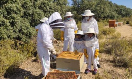 El CC La Marina toma parte en la protección de las abejas y el medio ambiente instalando colmenas en su tejado.
