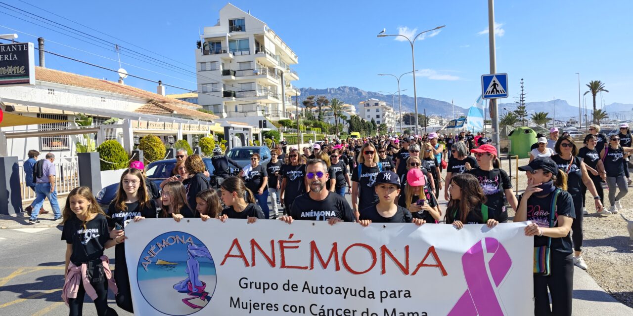 700 personas participan en la marcha solidaria de Anémona