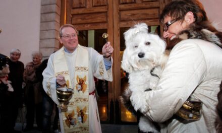 L’Alfàs celebrará San Antón el domingo 21  con la bendición de animales