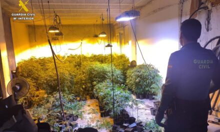 Desmantelada una plantación de marihuana en una casa en construcción en Altea