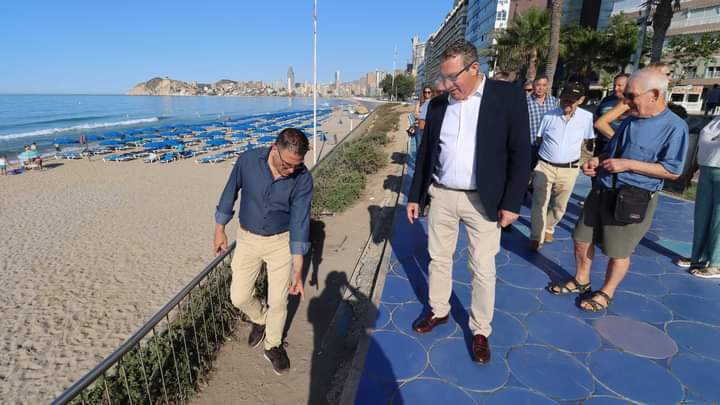 Benidorm invertirá 48.000 euros en la renovación de la jardinería del Paseo de Poniente 0