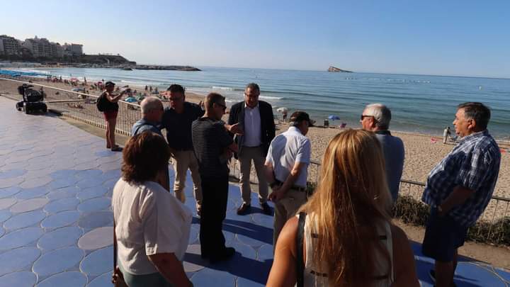 Benidorm invertirá 48.000 euros en la renovación de la jardinería del Paseo de Poniente 2