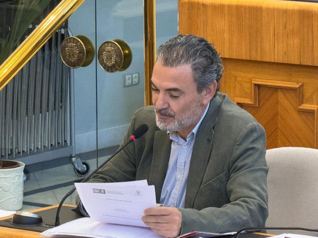 Vicente Arques portavoz Socialista en la Diputación: «la parálisis de la institución es total» 1