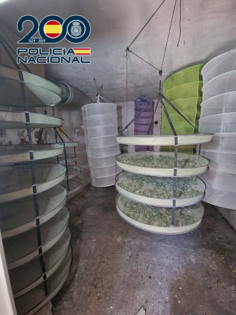 La Policía Nacional ha desmantelado dos cultivos hidropónicos de marihuana en Altea y Finestrat 0