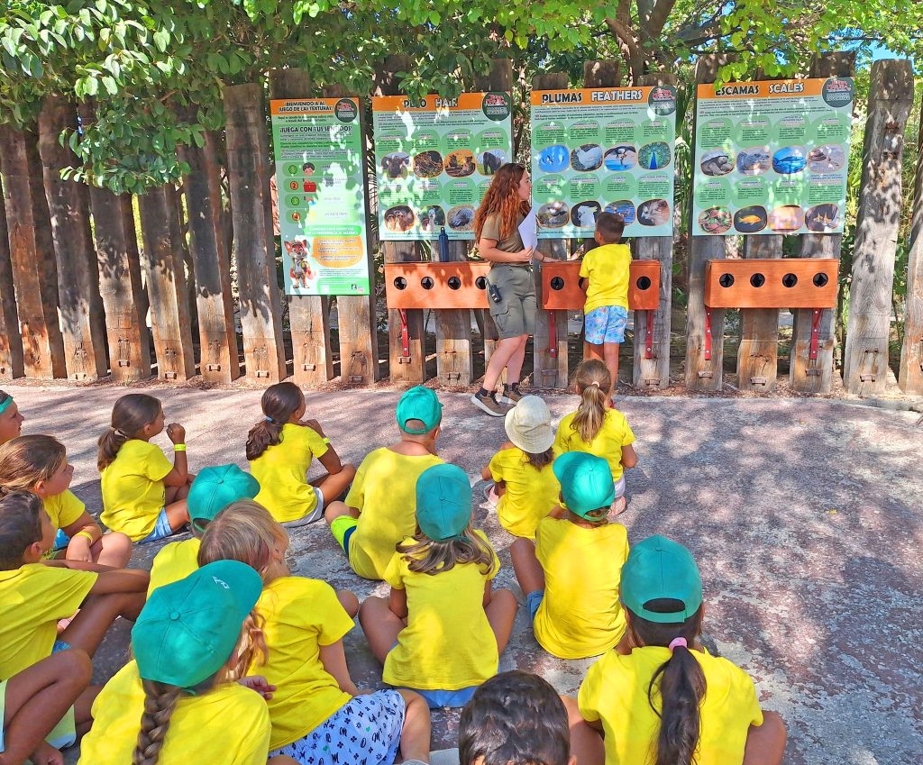Terra Natura Benidorm lanza una nueva edición de su Escuela de Verano y un campus dirigido a adolescentes 3