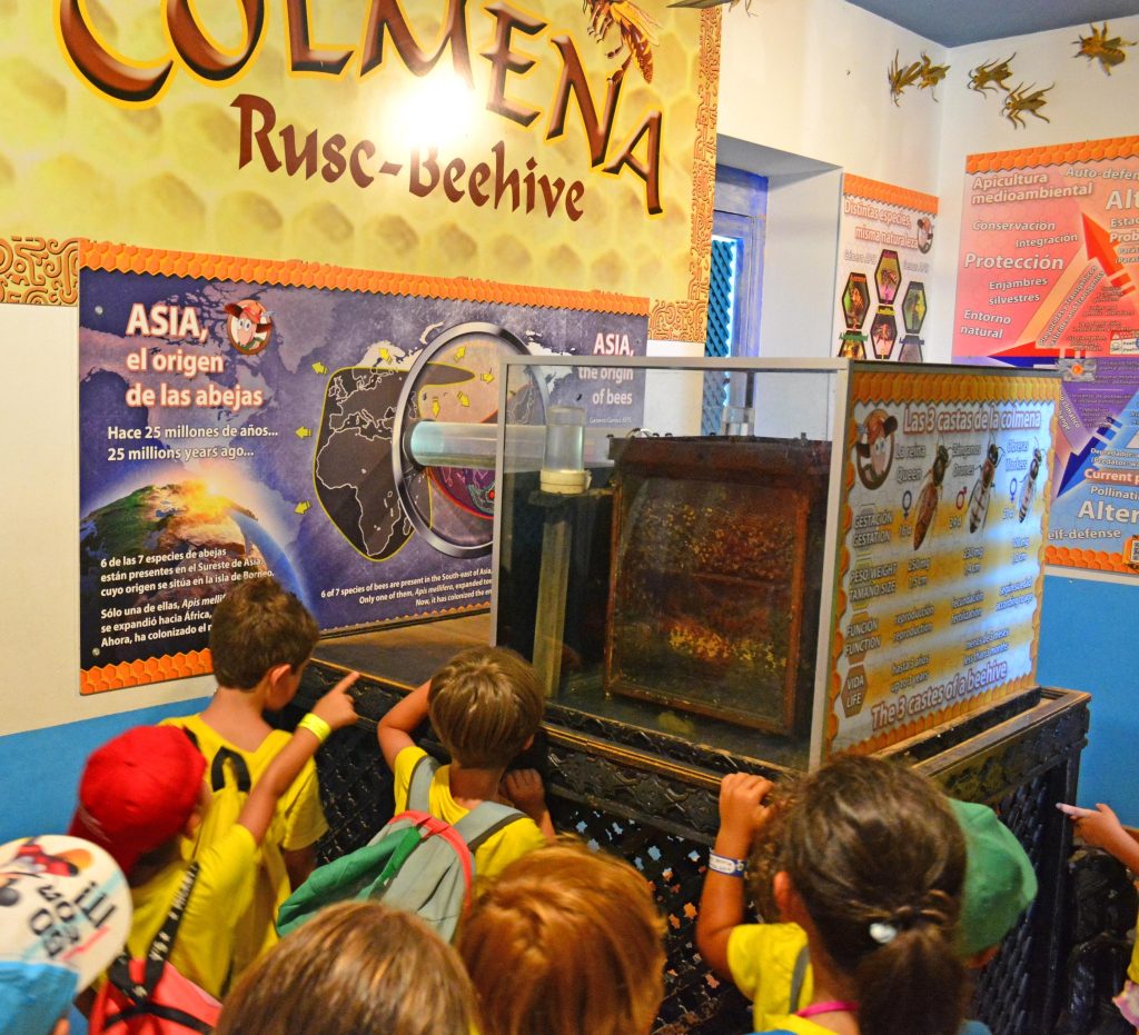 Terra Natura Benidorm lanza una nueva edición de su Escuela de Verano y un campus dirigido a adolescentes 2