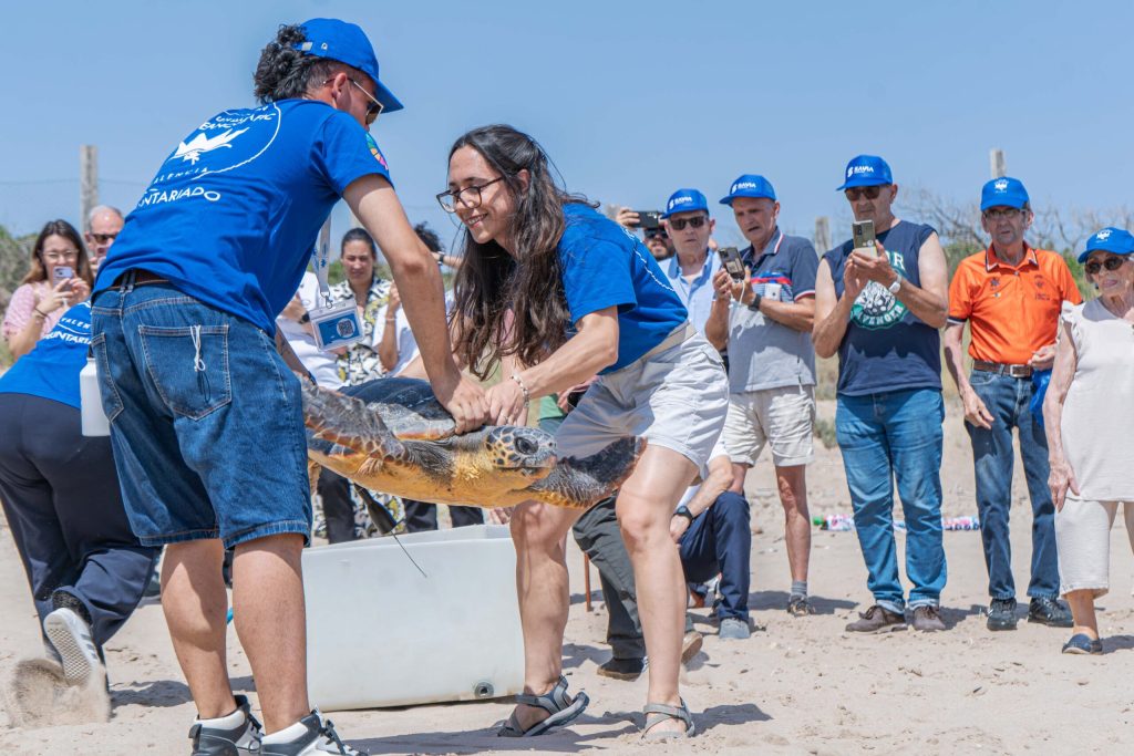 Más de 80 municipios costeros se unen este verano para salvar tortugas marinas 2