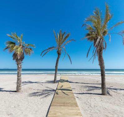 Turisme Comunitat Valenciana suministra 19.800 metros lineales de nuevas pasarelas de madera para las playas 0