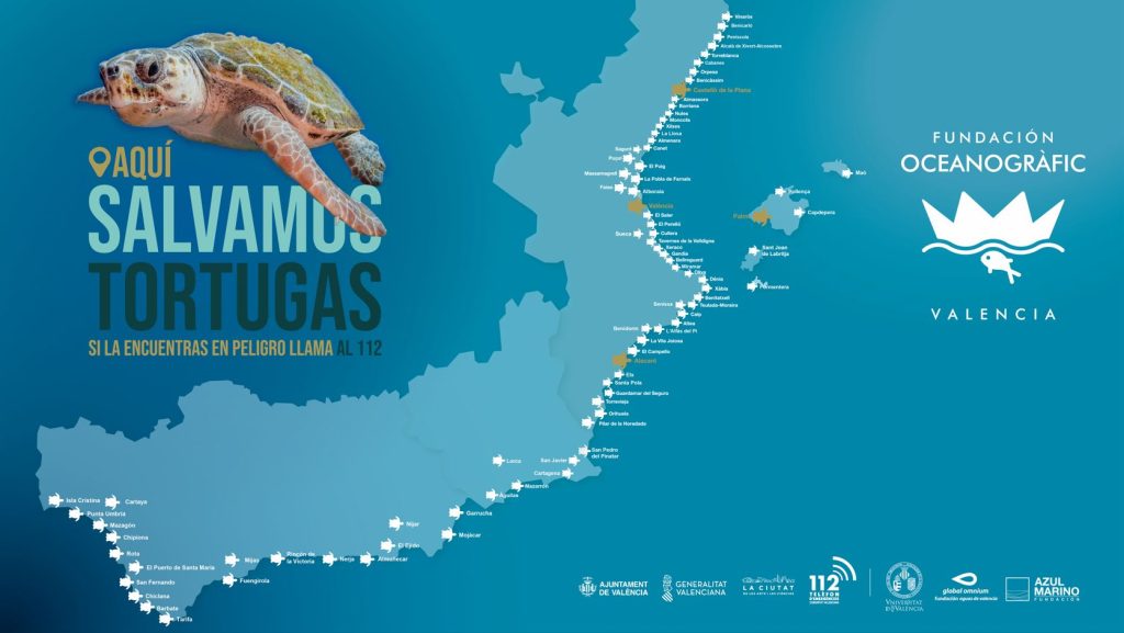 Más de 80 municipios costeros se unen este verano para salvar tortugas marinas 0