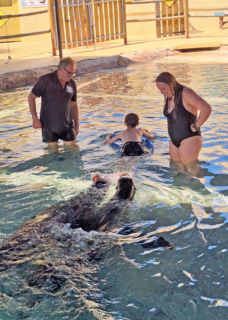 Los leones marinos de Aqua Natura ayudan a jóvenes con riesgo de exclusión 0
