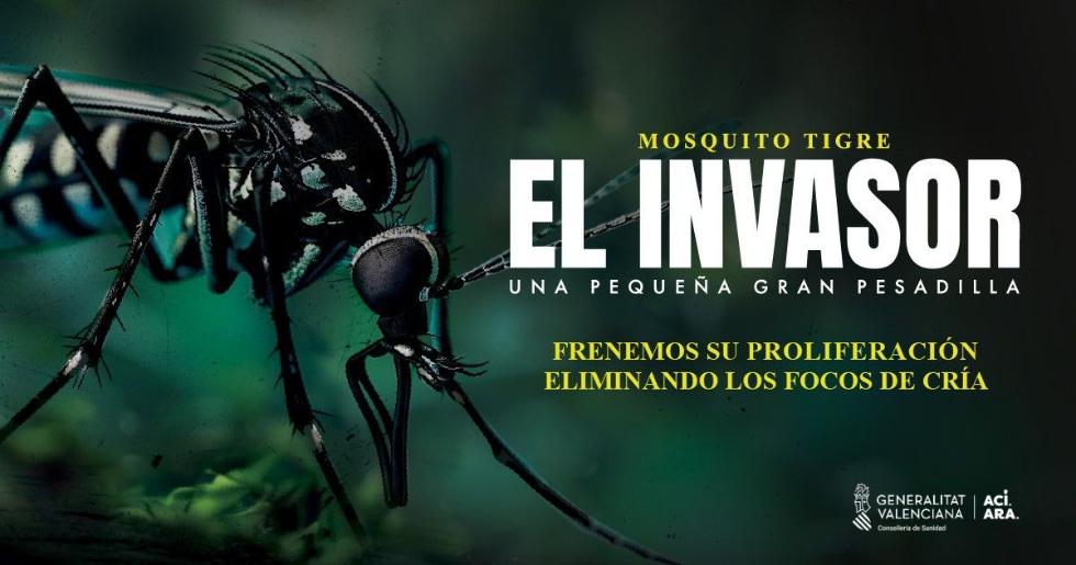 Sanidad aconseja evitar acúmulos de agua en recipientes para impedir la proliferación del mosquito tigre 0