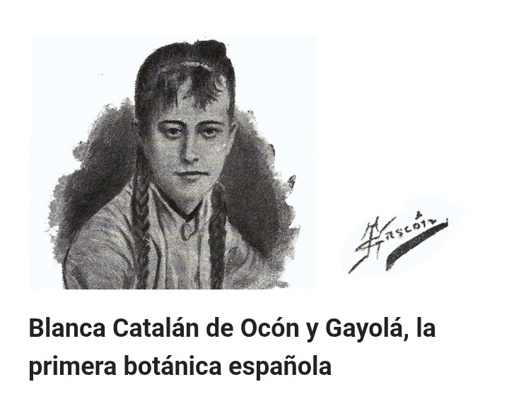 El BiblioLab Creativo de la Facultad de Bellas Artes de Altea de la UMH acoge la exposición #HicieronHistoria sobre hitos científicos 2