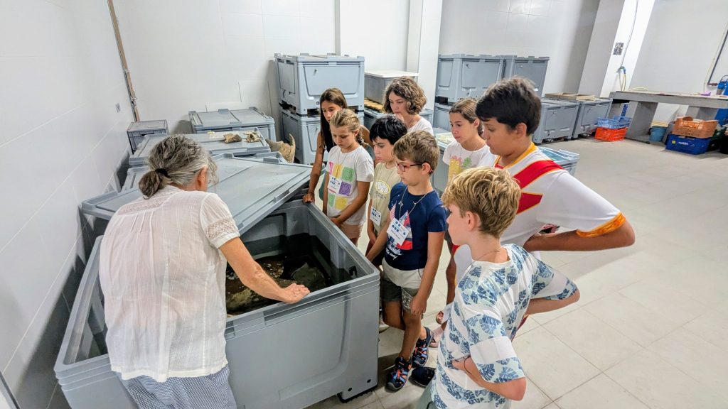 Niños de entre 8 y 12 años descubren los secretos del Pecio Bou Ferrer 0