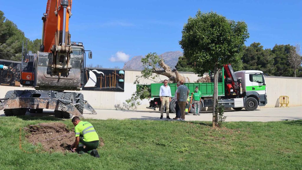 Benidorm inicia actuaciones de mejora en las zonas verdes y arbolado de la ciudad antes del nuevo contrato de parques y jardines   0