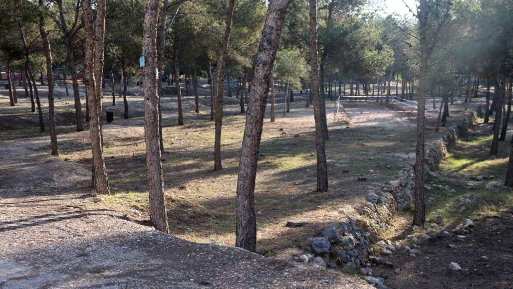Benidorm inicia actuaciones de mejora en las zonas verdes y arbolado de la ciudad antes del nuevo contrato de parques y jardines   2