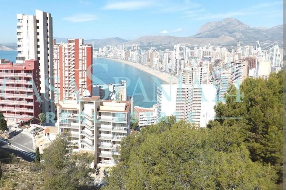 Benidorm liquida anticipadamente cerca de 19,5 millones de deuda bancaria 0
