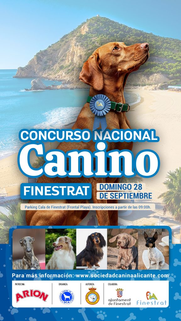 Presentación de la programación de las fiestas de la Cala de Finestrat 1