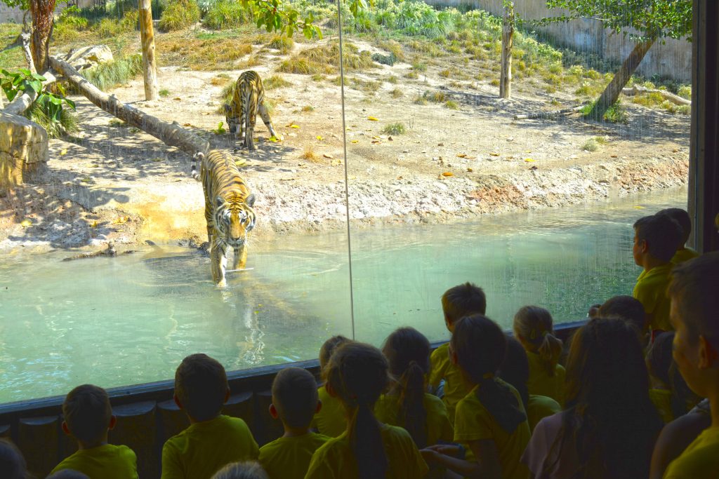 Terra Natura Benidorm diseña dos propuestas pedagógicas para visitas escolares en el curso 2025-2026 1