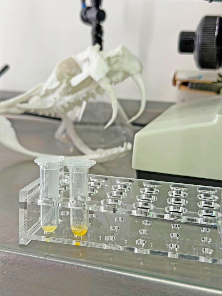 Terra Natura Benidorm participa en una formación especializada sobre liofilización de venenos 0