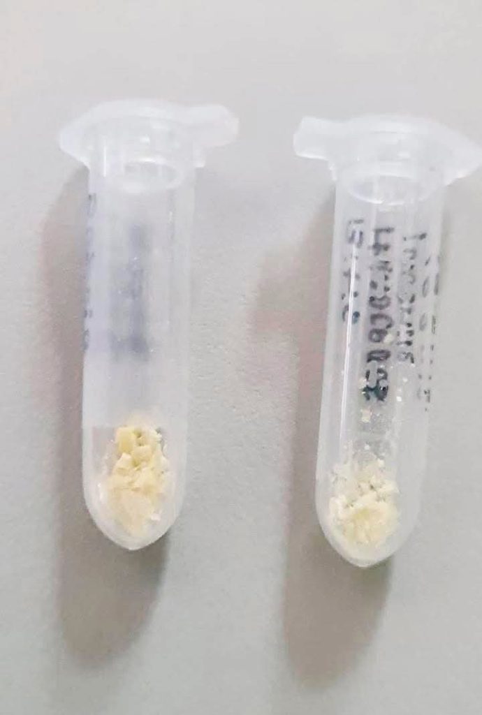 Terra Natura Benidorm participa en una formación especializada sobre liofilización de venenos 1