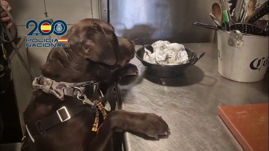 La Policía Nacional desarticula dos focos de tráfico de drogas en la zona de ocio más turística de Benidorm 0