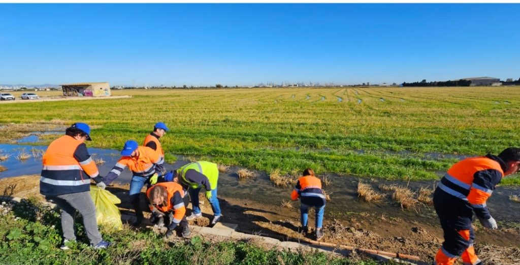 Veolia en la Comunitat implicó a más de un centenar de voluntarios corporativos en sus acciones de 2025 0