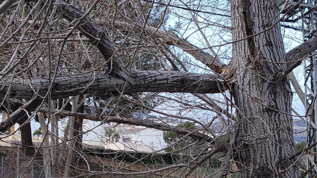 Guadalest temporal viento 