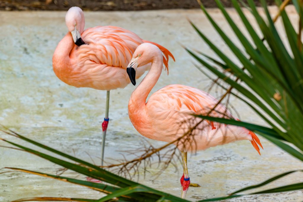 Terra Natura Benidorm se suma al Día Mundial de los Humedales con acciones educativas y divulgativas