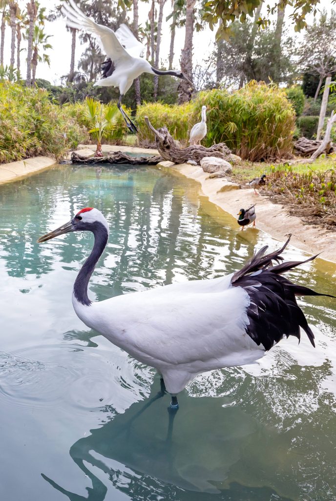 Terra Natura Benidorm se suma al Día Mundial de los Humedales con acciones educativas y divulgativas