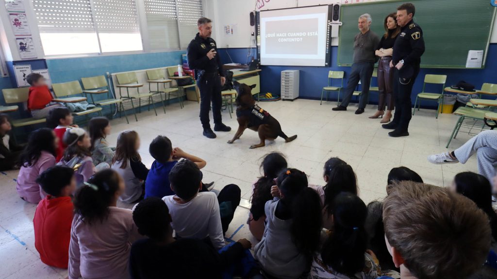 La Unidad Canina de la Policía Local acerca su trabajo a los escolares de Benidorm