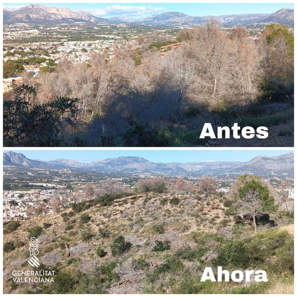 La Generalitat retira pinos muertos en zonas forestales de la serra Gelada para reducir riesgos ambientales y de seguridad