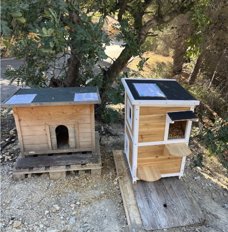 Altea instala 15 nuevas casitas para gatos con fondos de un concierto benéfico