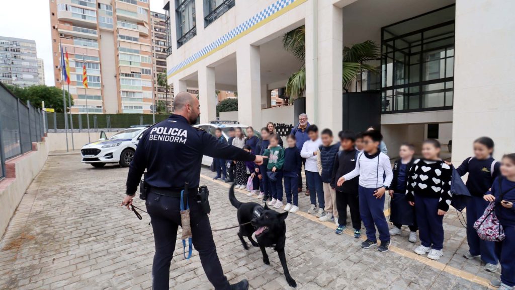 La Policía Local de Benidorm acerca su trabajo a cientos de escolares en sus jornadas de puertas abiertas