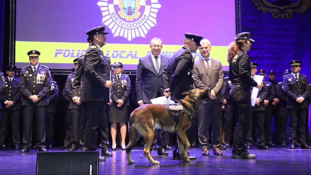 Seguridad y servicio: Benidorm celebra el 182 aniversario de su Policía Local