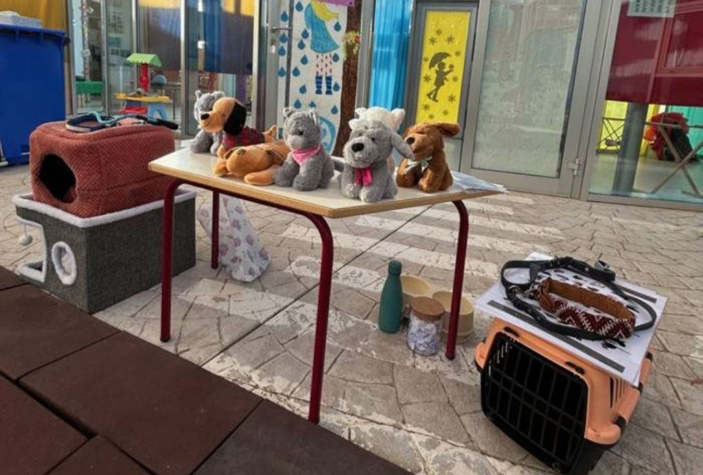 Perros Gatos 
