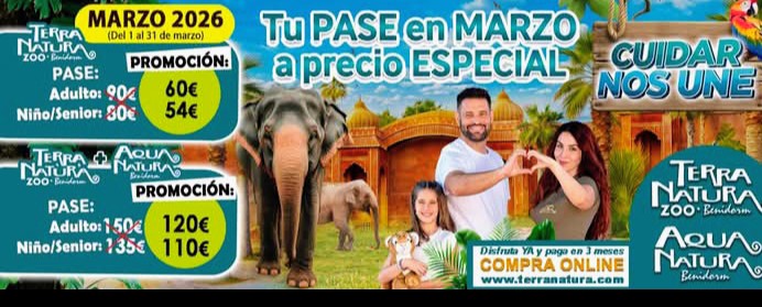 L’Alfàs del Pi reconoce a siete mujeres referentes en los Premios Mujer Relevante 2026 1