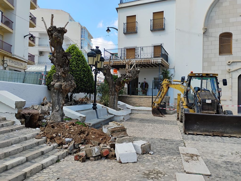 Altea trasplanta las moreras de la Plaça del Convent al río Algar para garantizar su supervivencia 0