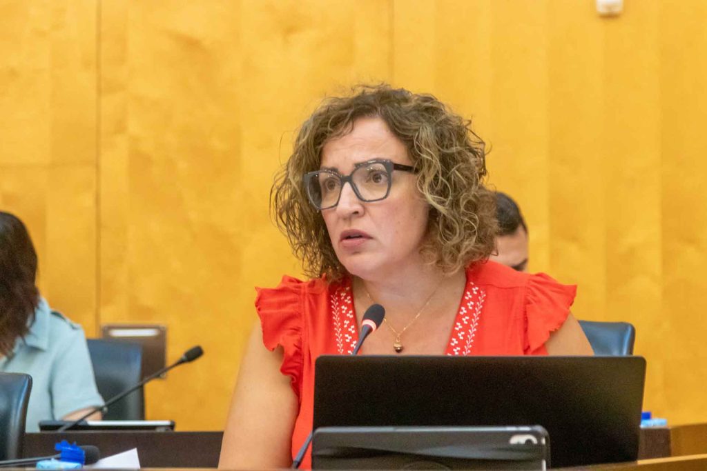 Benidorm: PSOE y gobierno local chocan por la segunda fase de la avenida Mediterráneo