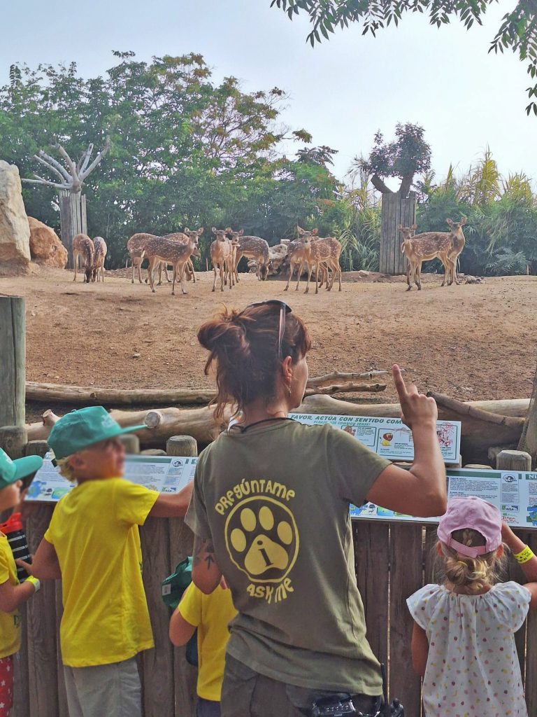 Terra Natura Benidorm y Aqua Natura Benidorm abren el plazo de inscripción para su Escuela de Verano 2026