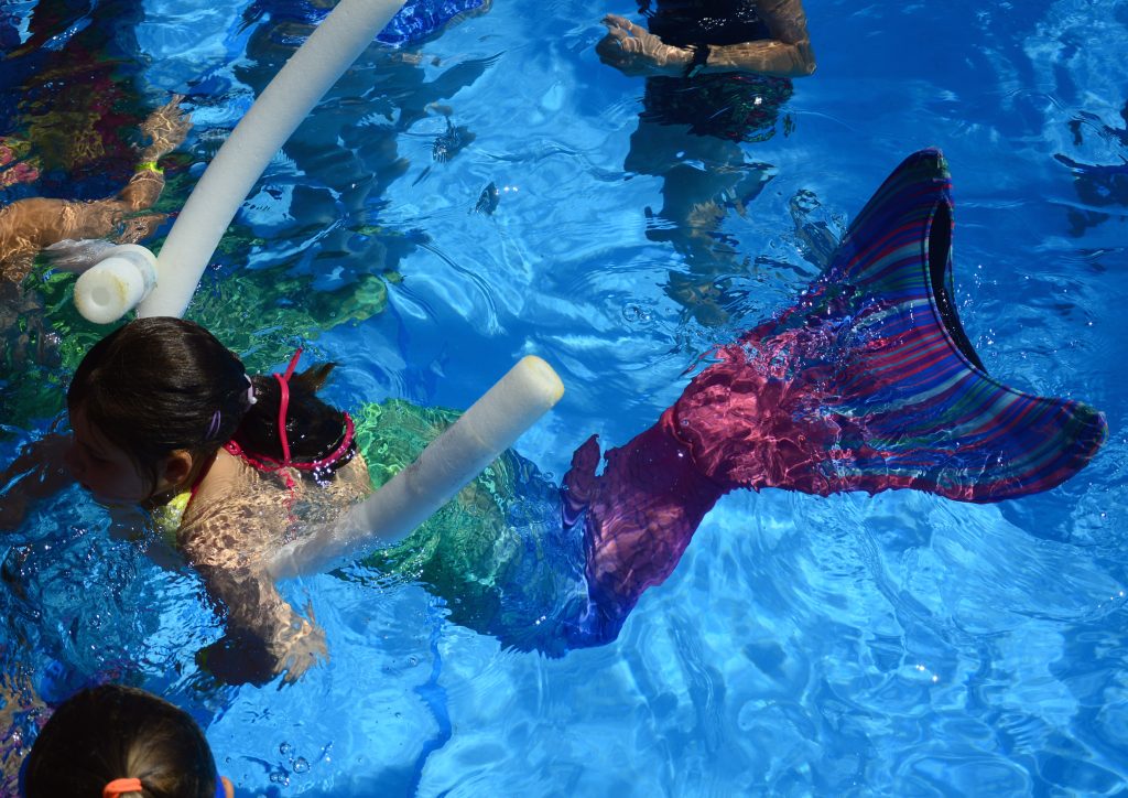 Terra Natura Benidorm y Aqua Natura Benidorm abren el plazo de inscripción para su Escuela de Verano 2026 0