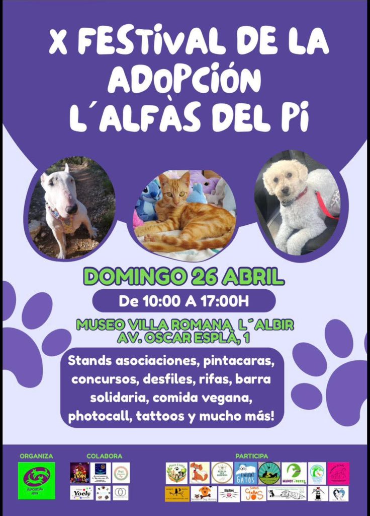 Más de 20 protectoras participarán en el X Festival de la Adopción de L’Alfàs del Pi