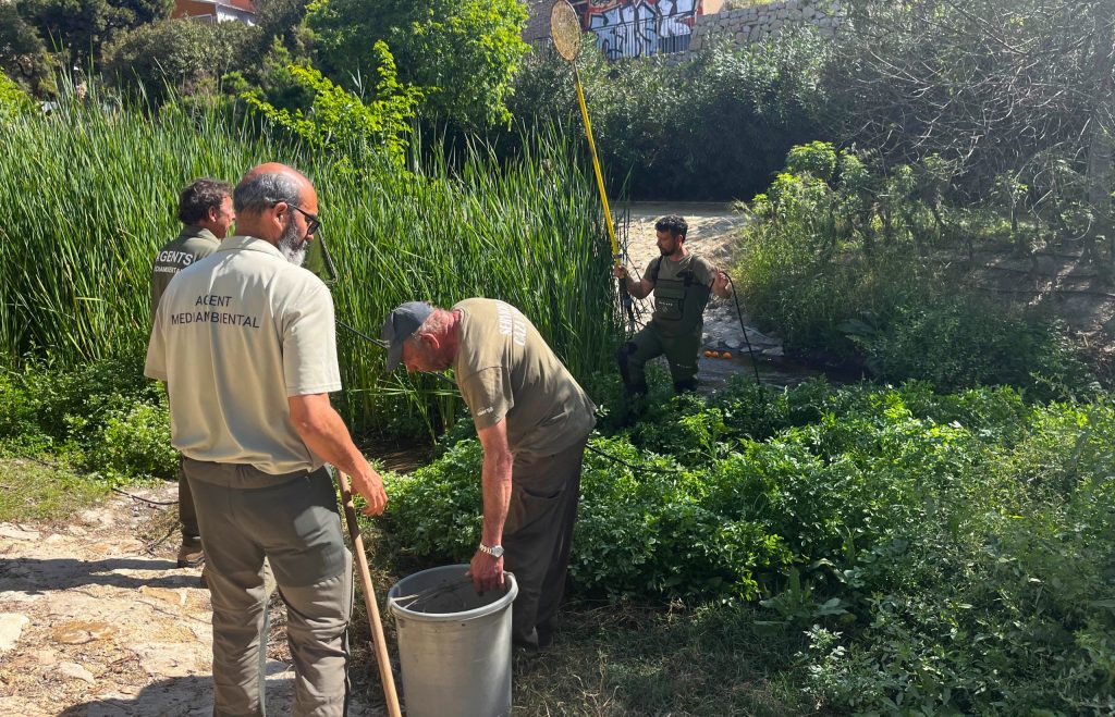 Seguimiento ambiental en el río Amadorio en Villajoyosa