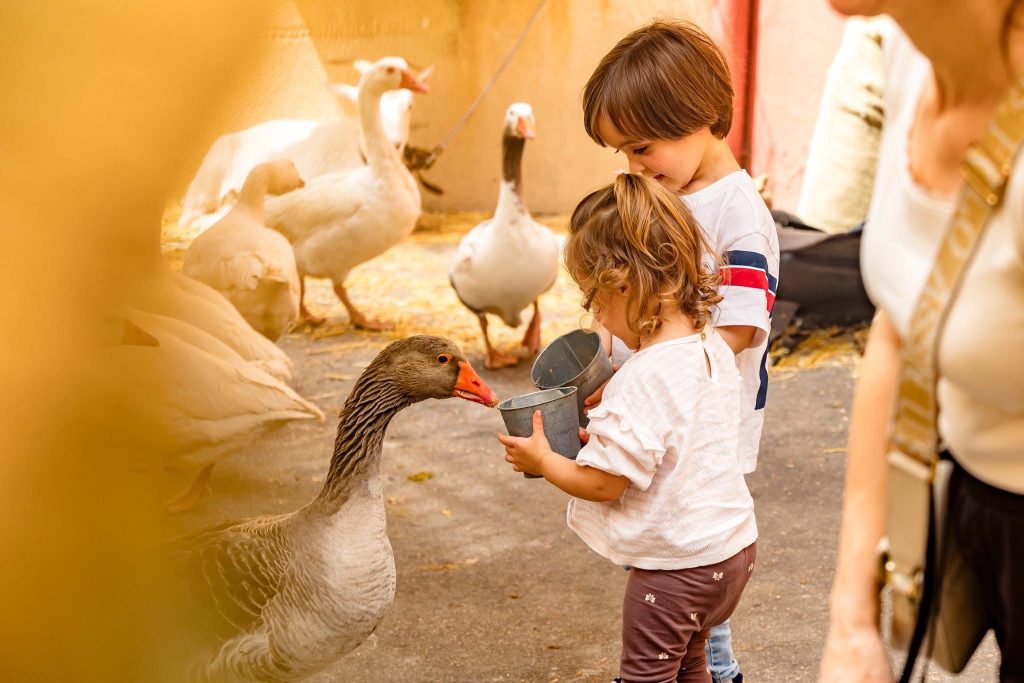 Finestrat inaugura su Mercat Gastronòmic i Tradicional: 10 años de historia con actividades durante todo el fin de semana 1