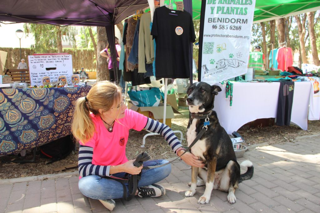 Festival de la Adopción en L’Alfàs del Pi: actividades, concursos y animales que buscan hogar