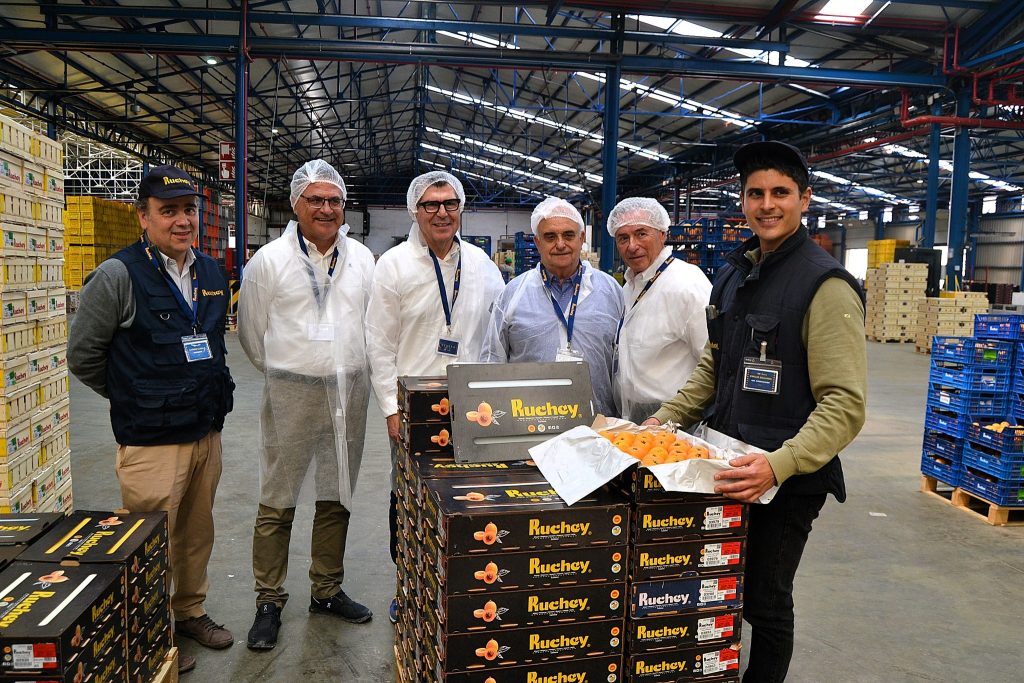 El níspero de Callosa consolida su proyección internacional