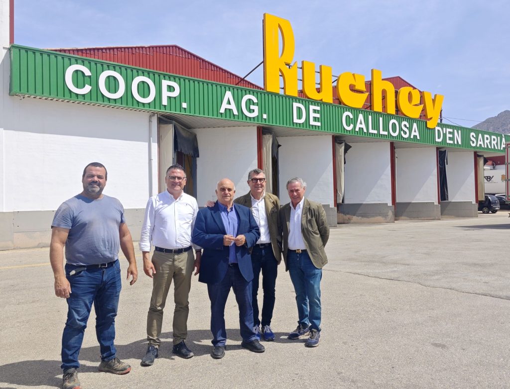 El níspero de Callosa consolida su proyección internacional