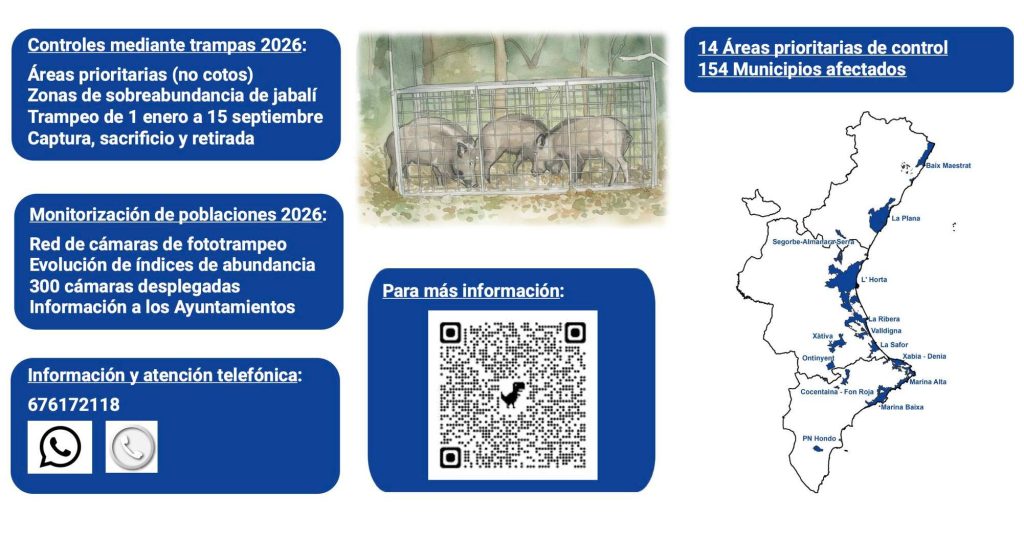 Callosa d’en Sarrià habilita un protocolo de control de jabalíes para proteger los cultivos y el equilibrio natural 1