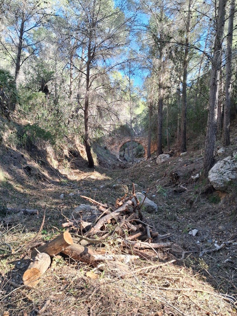 Altea invierte más de 100.000 € en prevención de incendios con actuaciones en urbanizaciones y zonas forestales