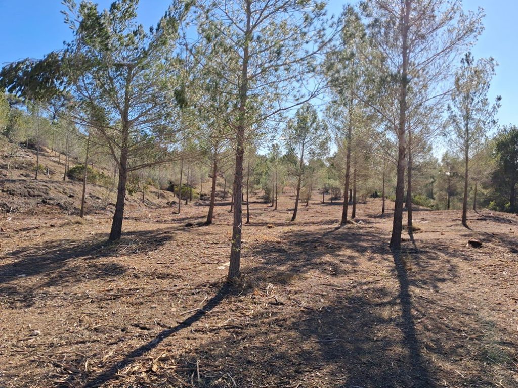 Altea invierte más de 100.000 € en prevención de incendios con actuaciones en urbanizaciones y zonas forestales